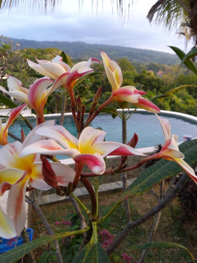 Paradise Lovina
